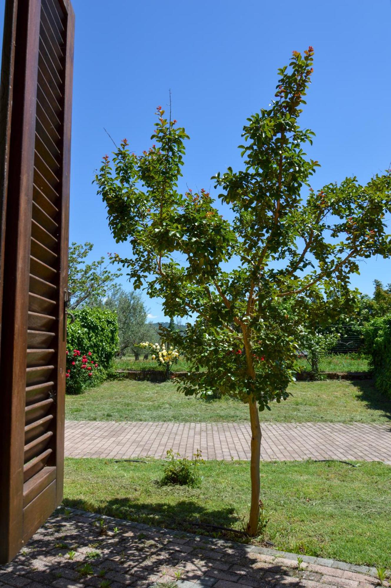 Agriturismo "La Fraschetta" Bolsena Exterior photo