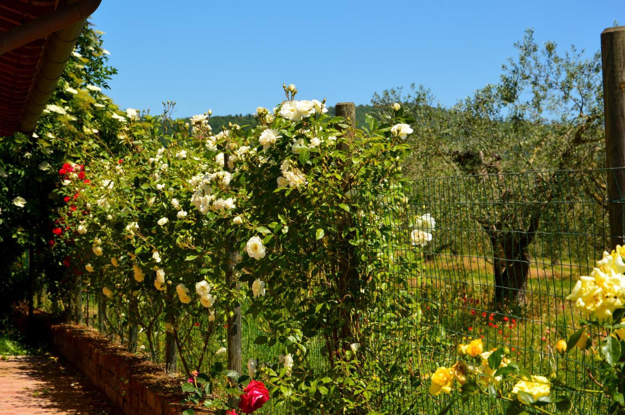 Agriturismo "La Fraschetta" Bolsena Exterior photo