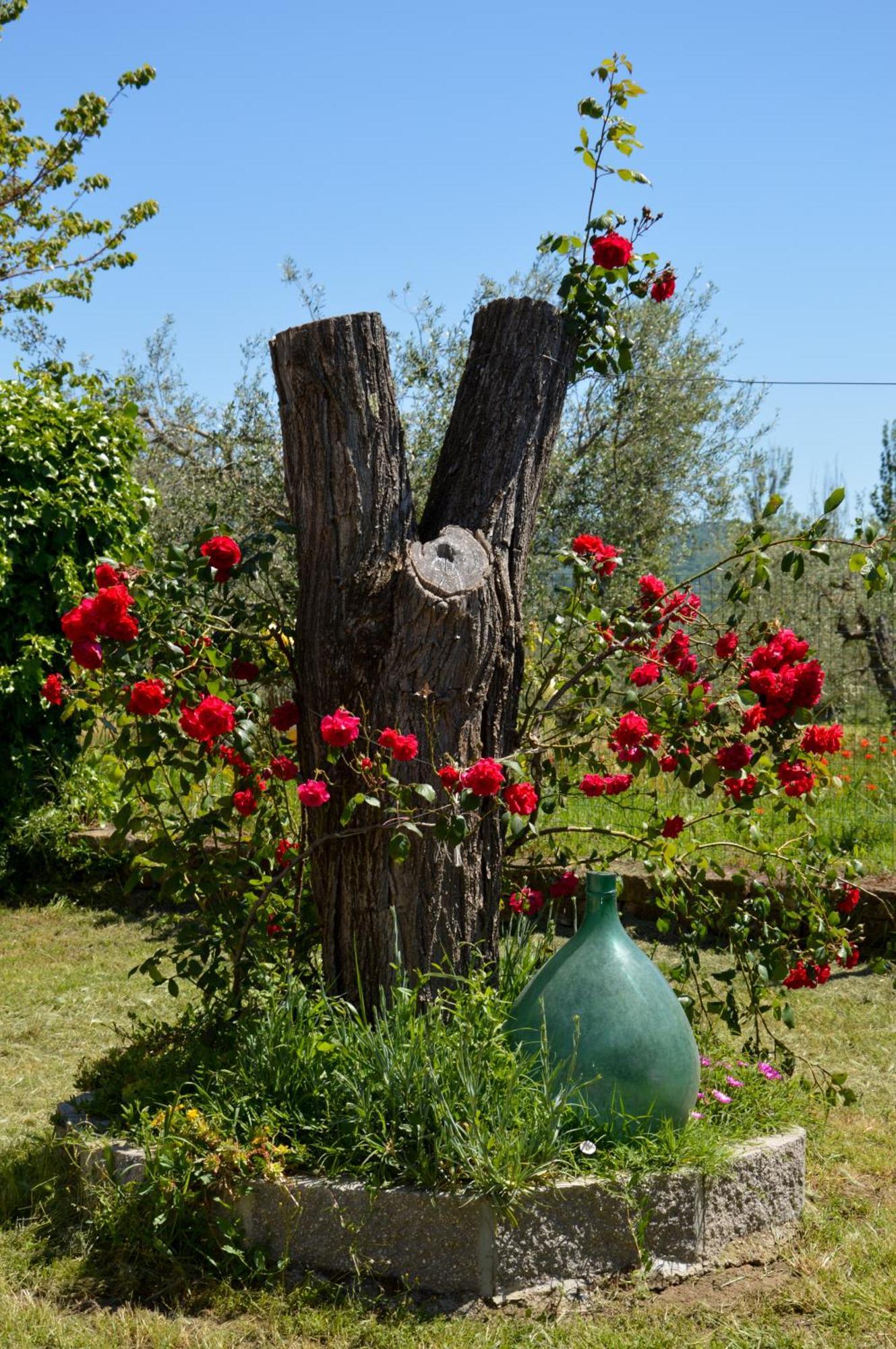 Agriturismo "La Fraschetta" Bolsena Exterior photo