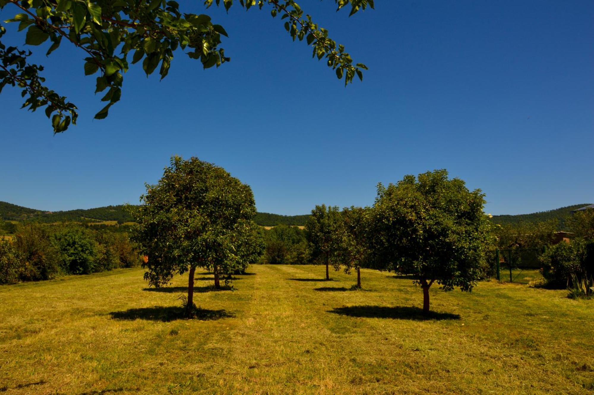Agriturismo "La Fraschetta" Bolsena Exterior photo